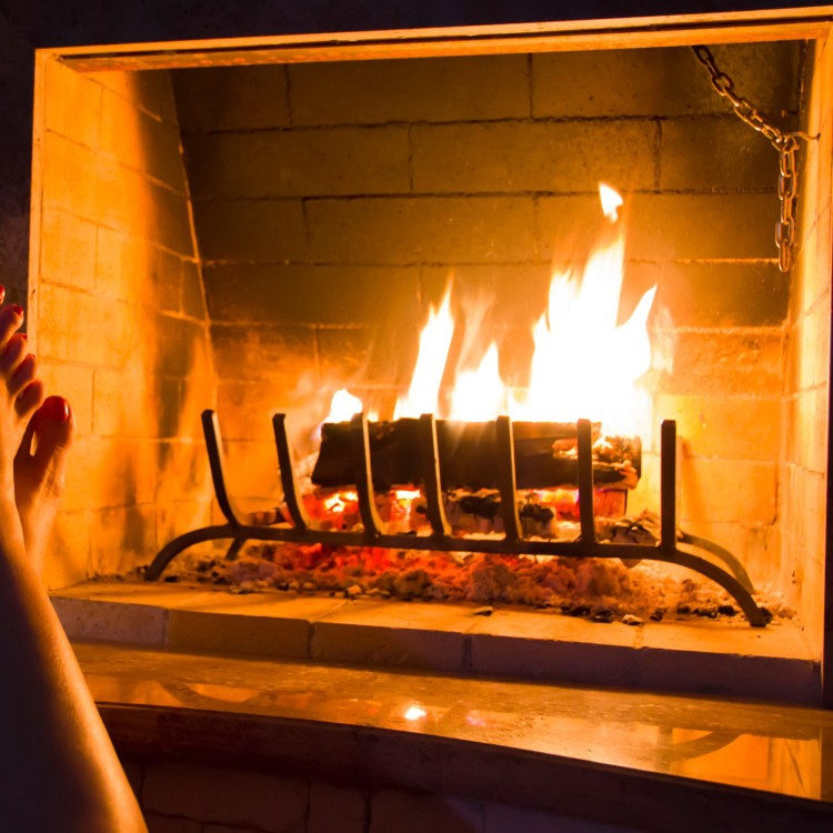 Arlmont & Co. Fireplace Log Grate Wayfair